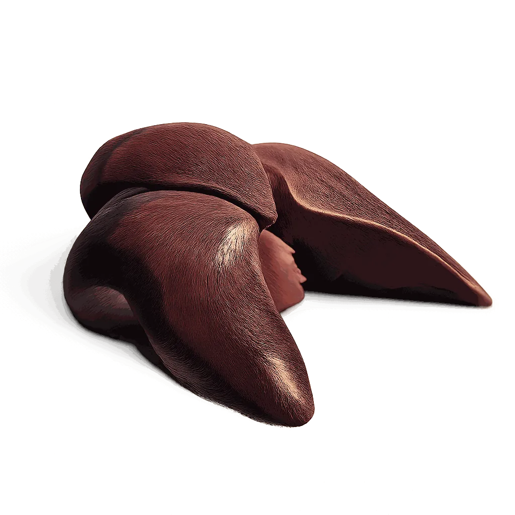 Pigeon liver